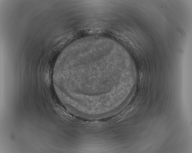 X0000112021250200908311147