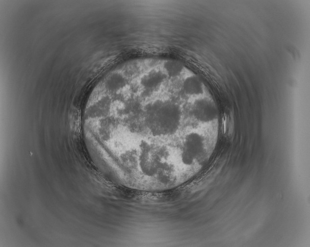 X0000112021251200908311147