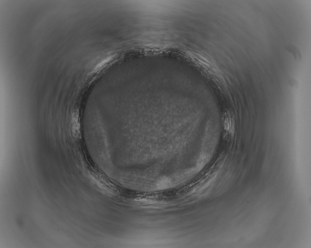 X0000112021252200908311147