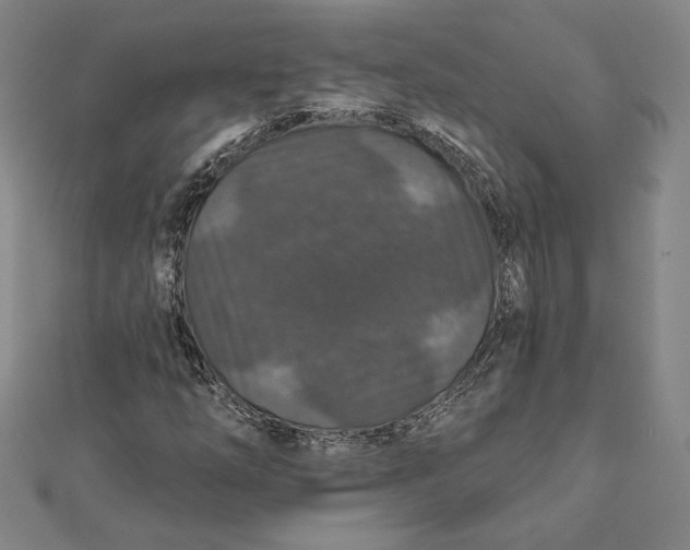 X0000112021254200908311147