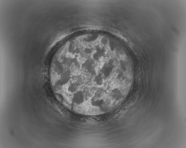 X0000112021255200908311147