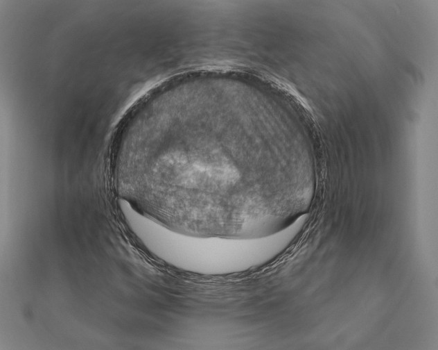 X0000112021256200908311147