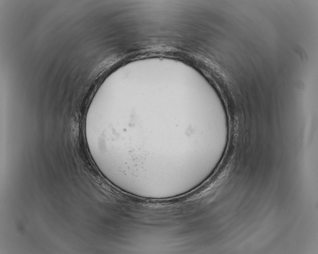 X0000112021257200908311147