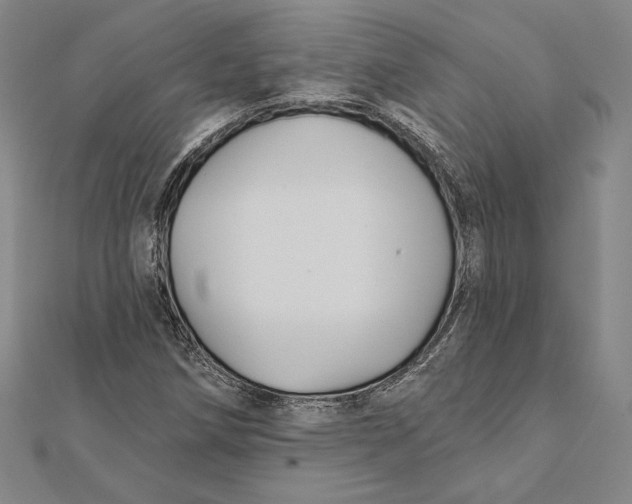 X0000112021258200908311147