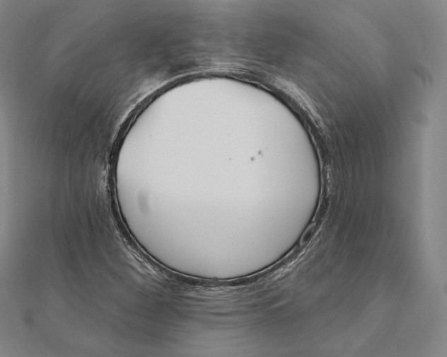 X0000112021260200908311147