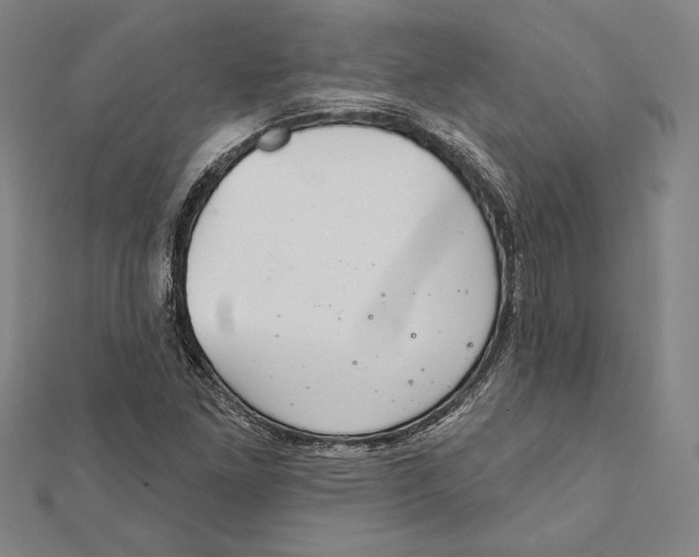 X0000112021261200908311147