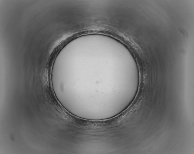 X0000112021262200908311147