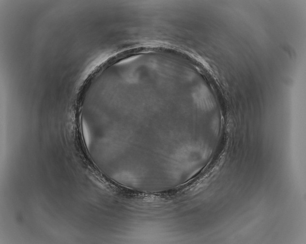 X0000112021263200908311147