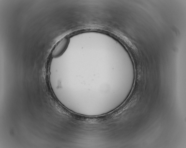 X0000112021264200908311147