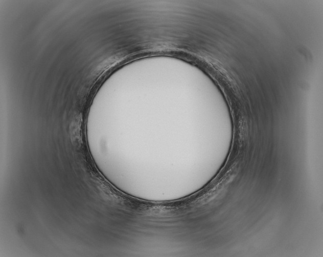 X0000112021265200908311147