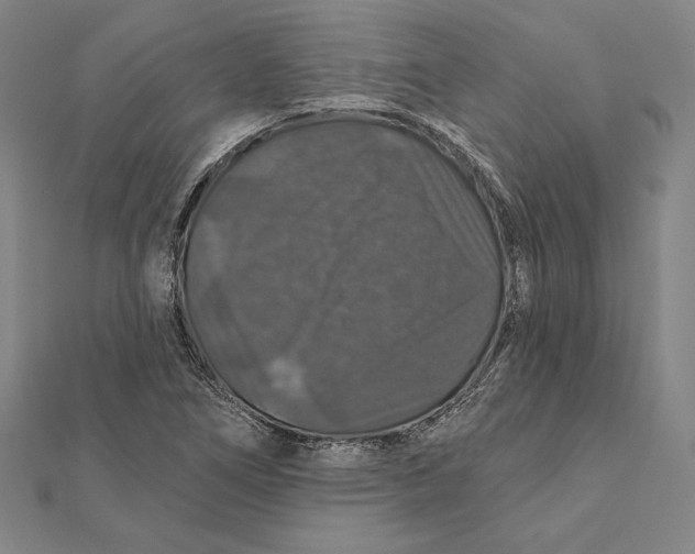 X0000112021266200908311147