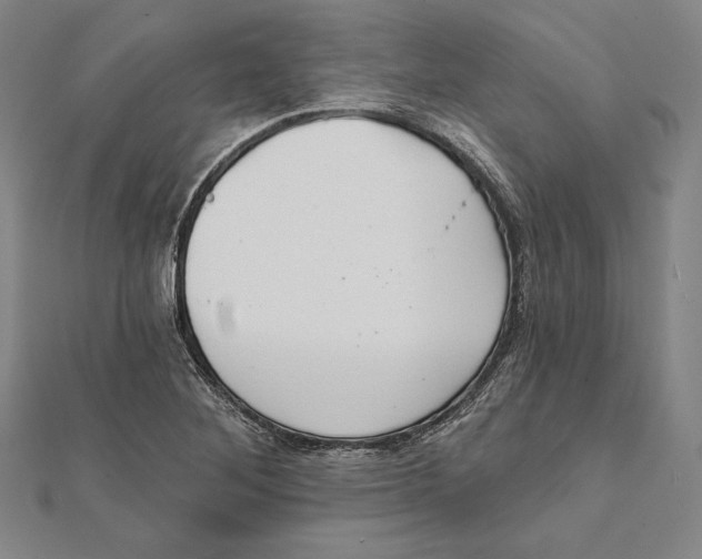 X0000112021268200908311147