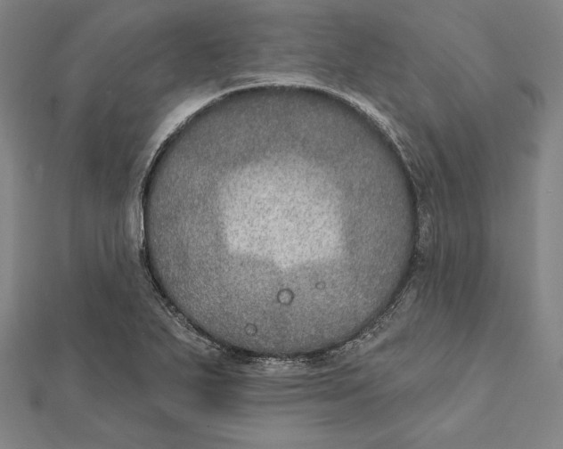 X0000112021271200908311147