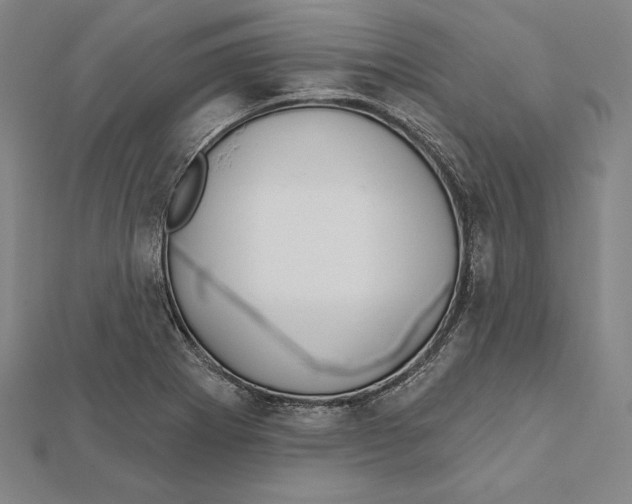 X0000112021273200908311147