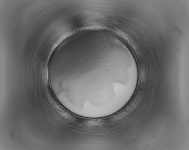 X0000112021274200908311147