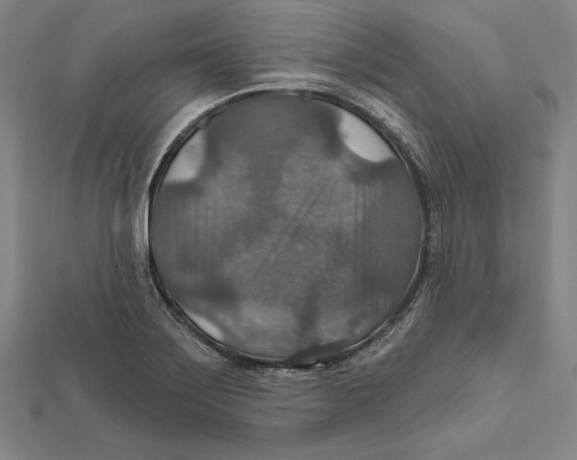 X0000112021275200908311147