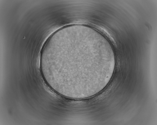 X0000112021276200908311147