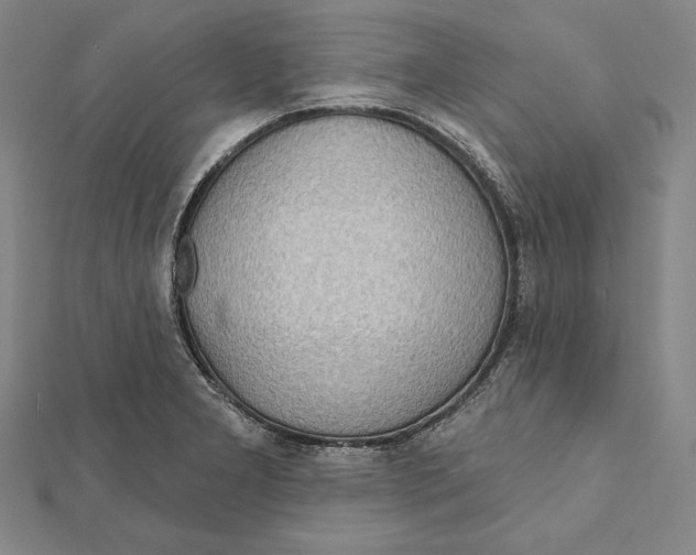 X0000112021277200908311147