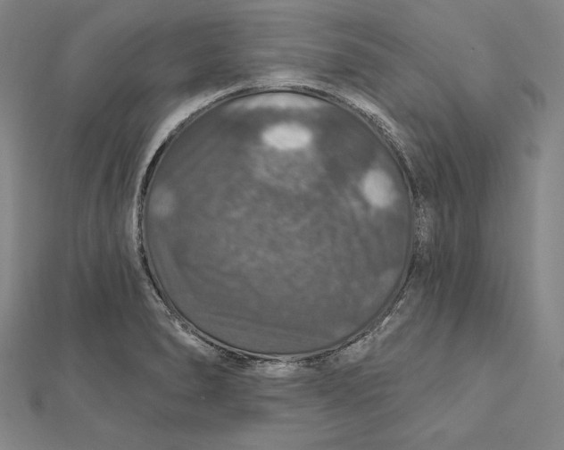 X0000112021278200908311147