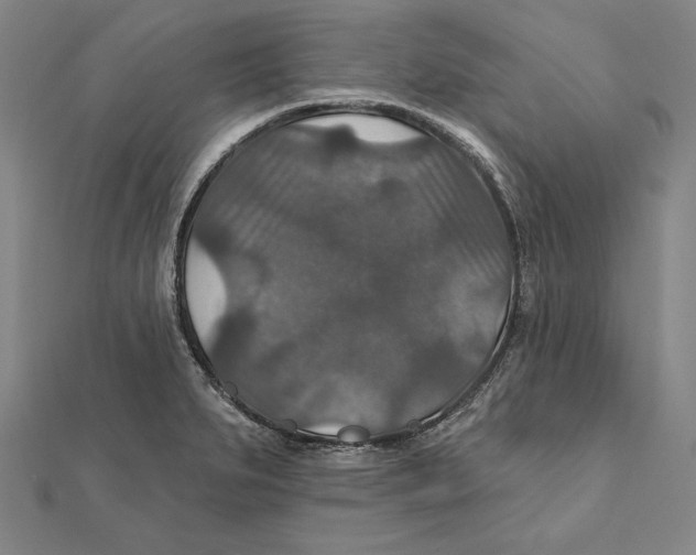 X0000112021279200908311147