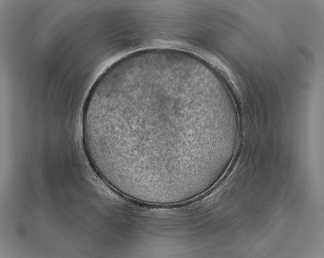 X0000112021280200908311147