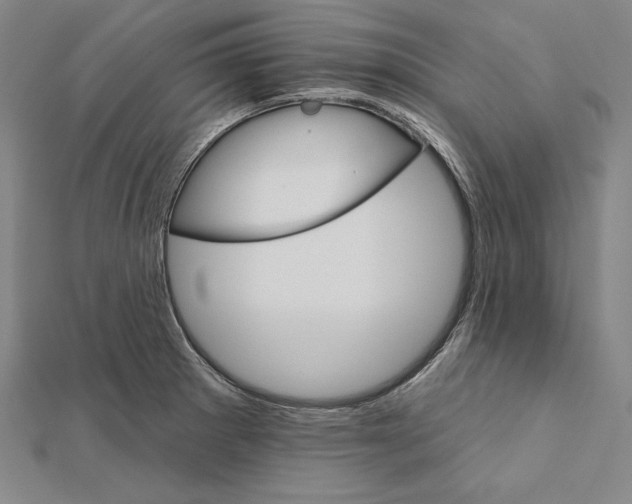 X0000112021281200908311147