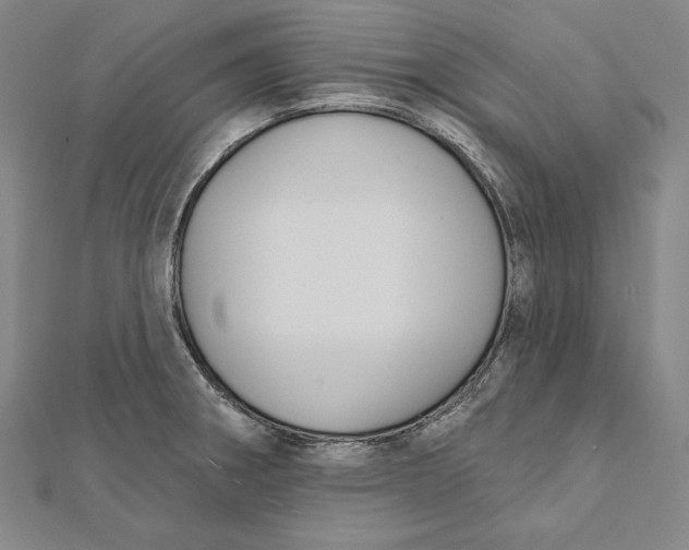 X0000112021282200908311147