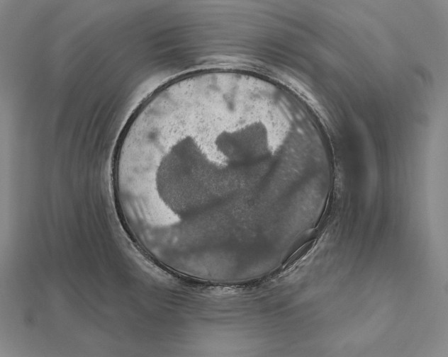 X0000112021283200908311147