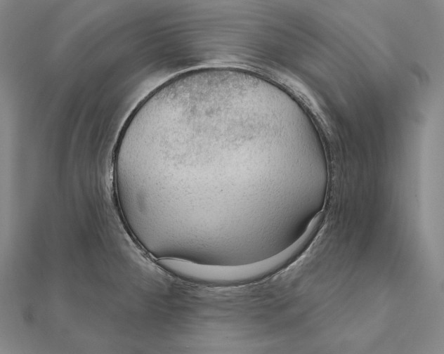 X0000112021284200908311147