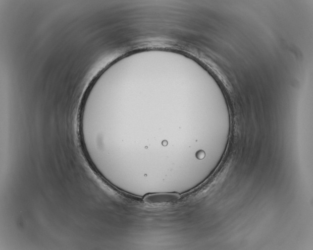 X0000112021285200908311147