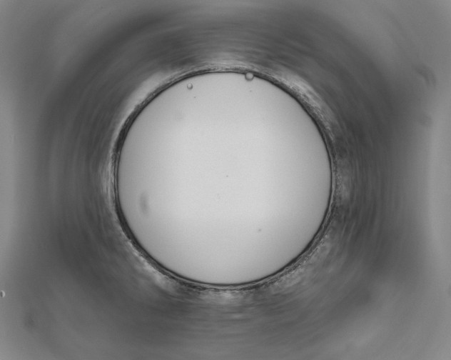 X0000112021286200908311147