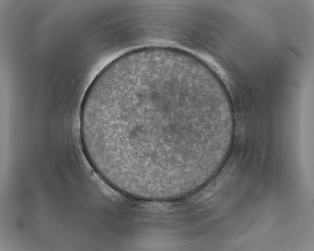 X0000112021287200908311147