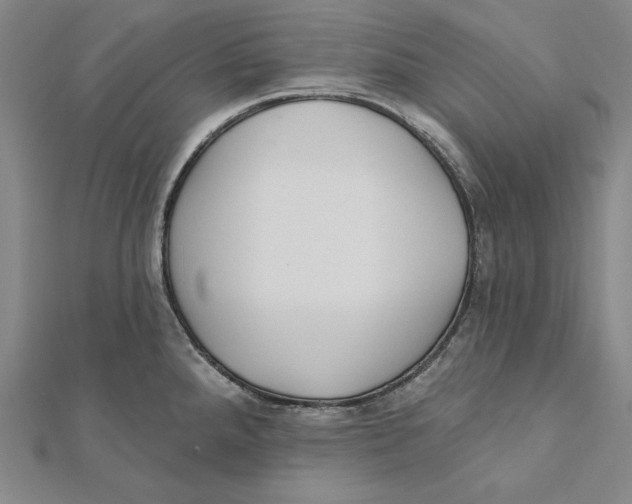 X0000112021288200908311147