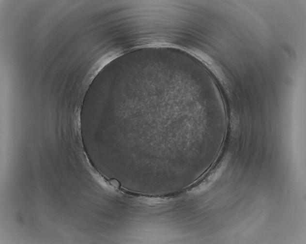 X0000112021289200908311147