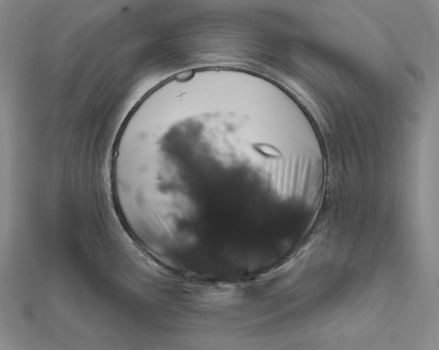 X0000112021291200908311147