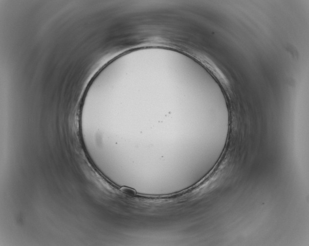 X0000112021292200908311147