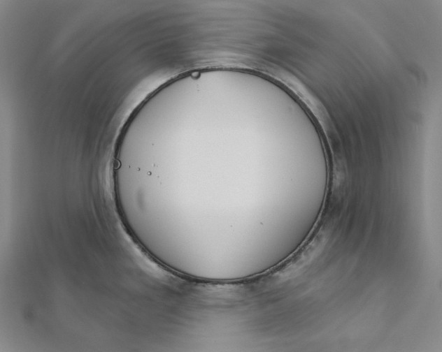 X0000112021293200908311147