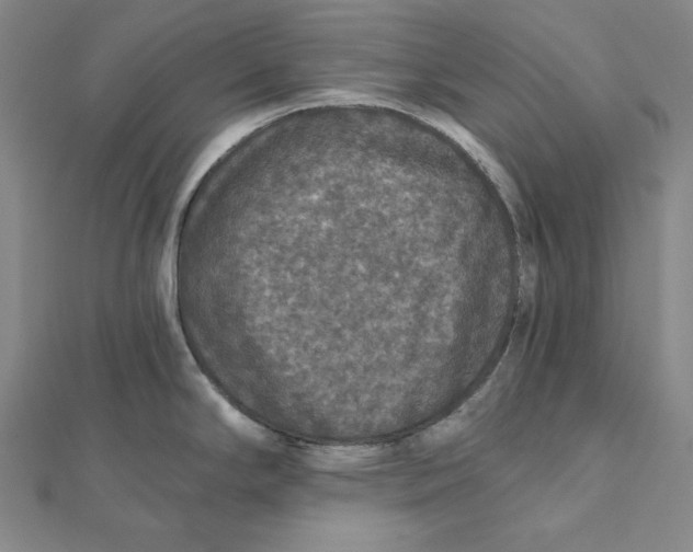 X0000112021294200908311147