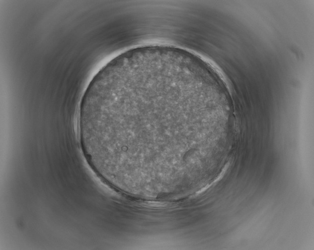 X0000112021295200908311147