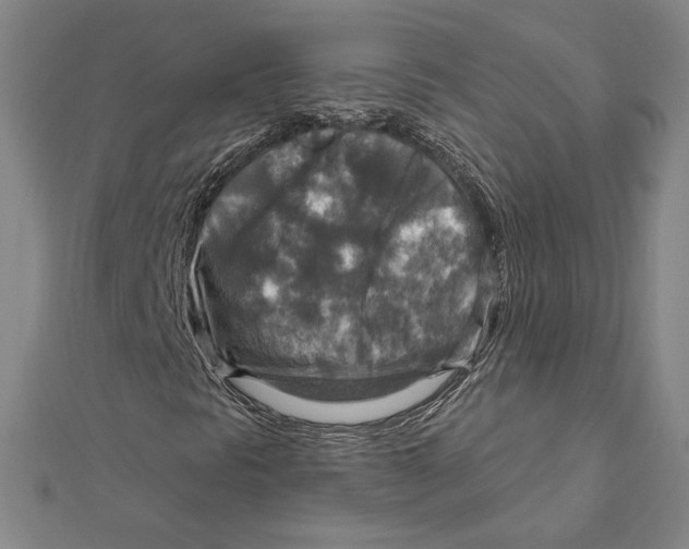 X0000112021297200908311146