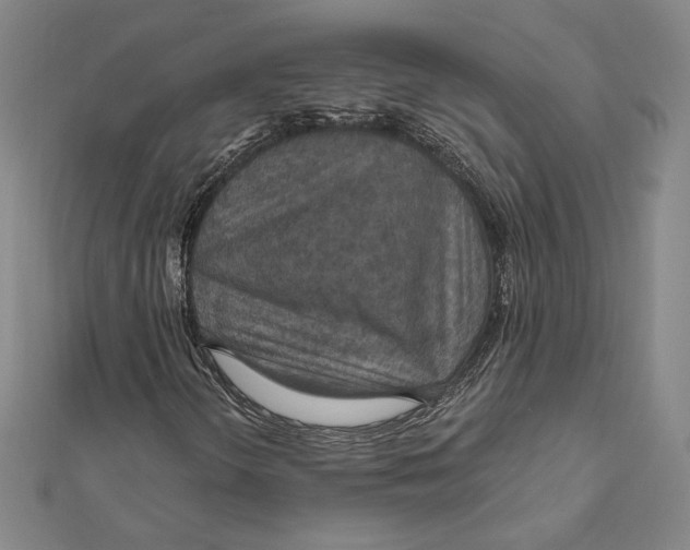 X0000112021298200908311146