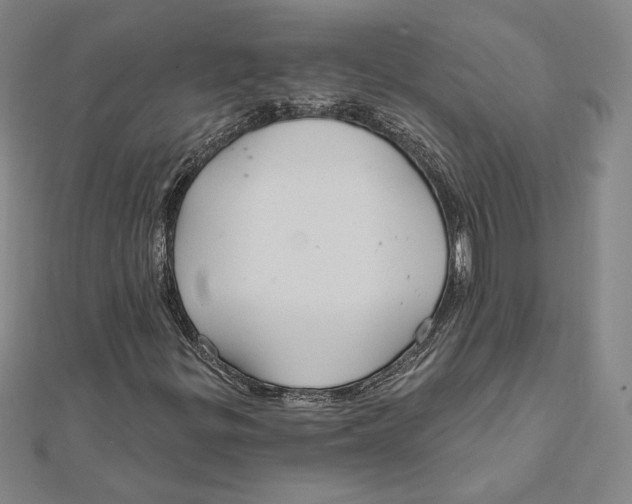 X0000112021299200908311146