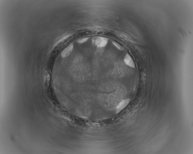 X0000112021302200908311146