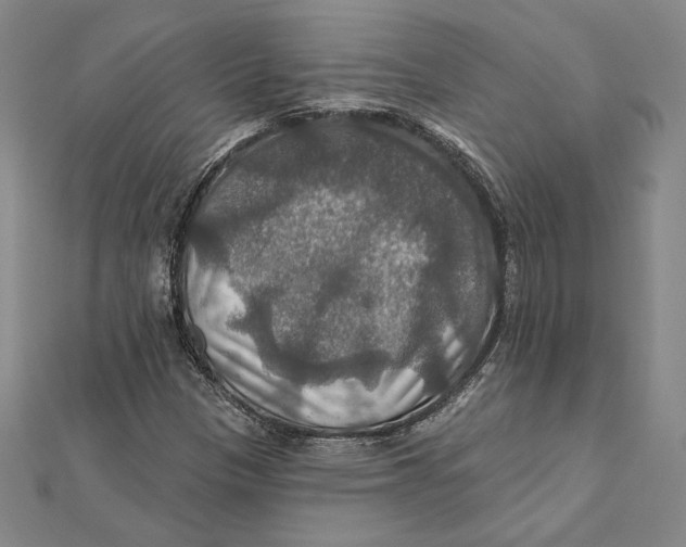 X0000112021305200908311146