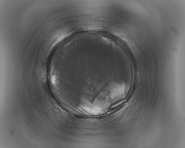 X0000112021306200908311146