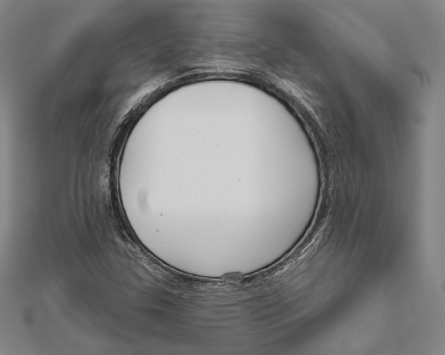 X0000112021307200908311146