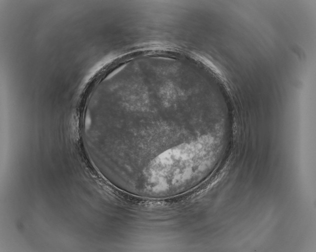 X0000112021310200908311146