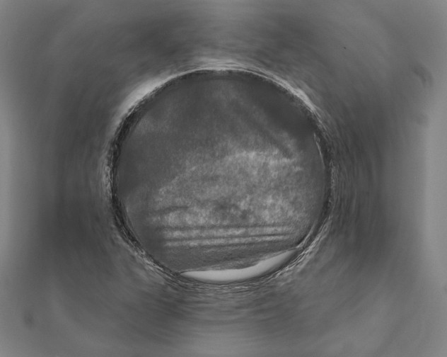 X0000112021311200908311146