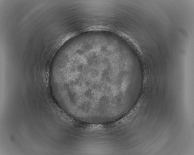 X0000112021313200908311146