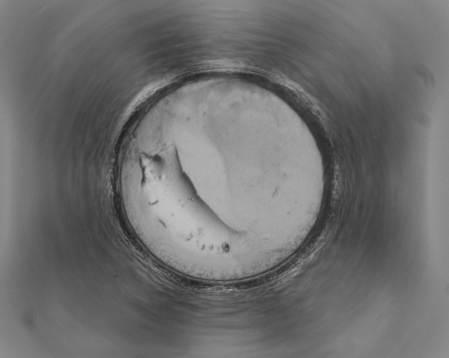 X0000112021314200908311146